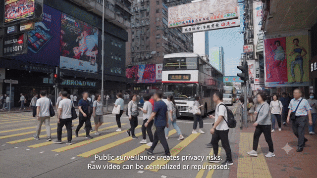Animated demo: pedestrian detection under different anonymization techniques